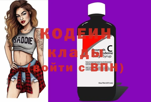 стаф Арсеньев