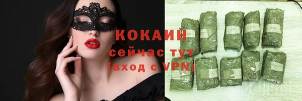 стаф Арсеньев
