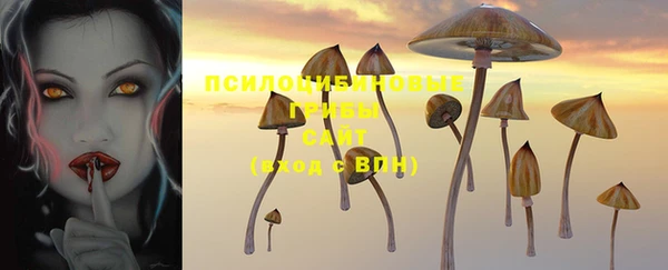 стаф Арсеньев