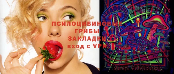 стаф Арсеньев