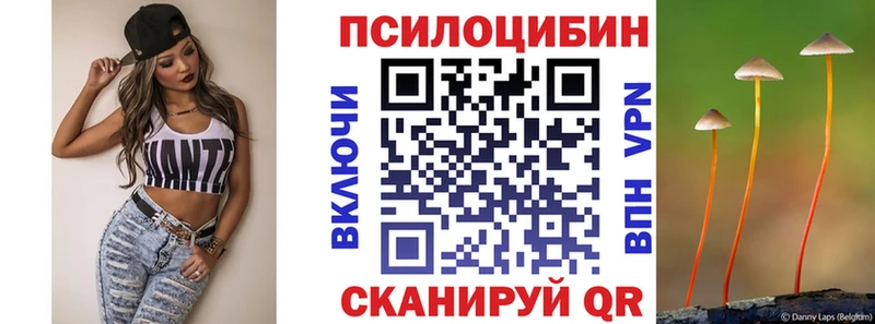 купить закладку Мензелинск Псилоцибиновые грибы Cubensis